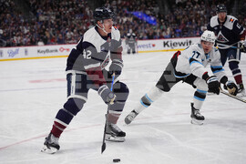 Mammoth Avalanche Hockey