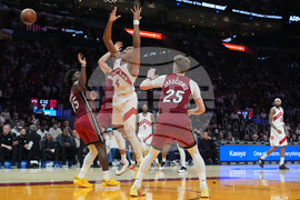 Raptors Heat Basketball