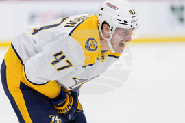 Predators Wild Hockey