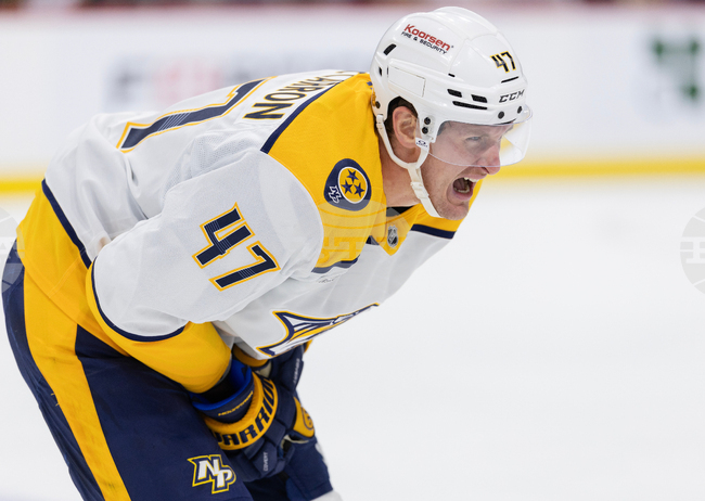 Predators Wild Hockey