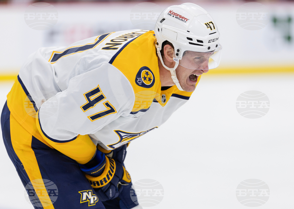 Predators Wild Hockey