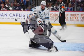 Mammoth Avalanche Hockey