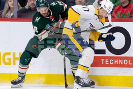 Predators Wild Hockey