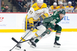 Predators Wild Hockey