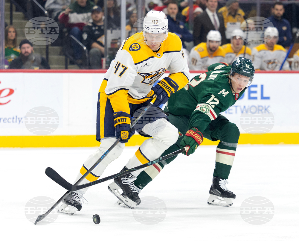 Predators Wild Hockey