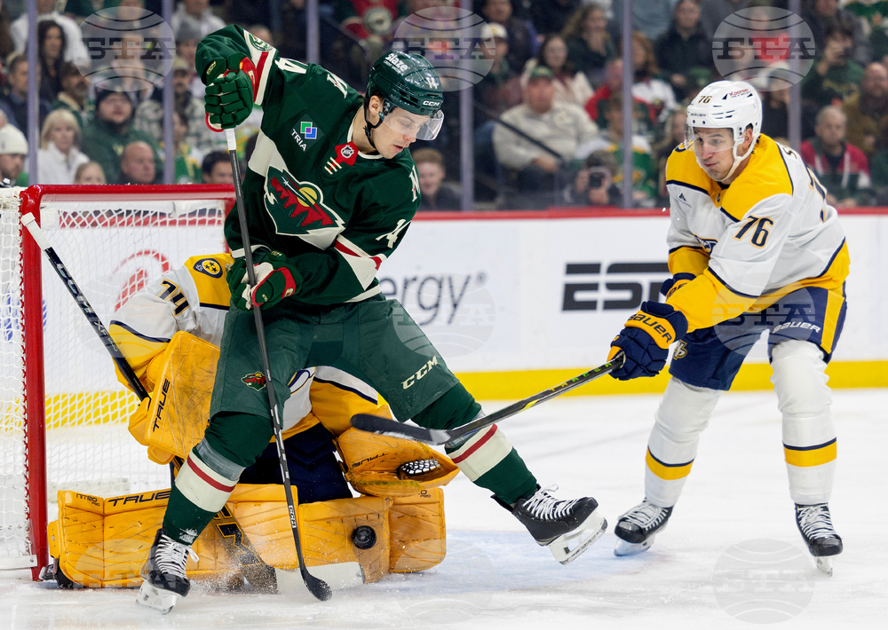 Predators Wild Hockey