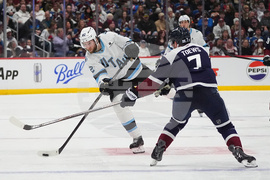 Mammoth Avalanche Hockey