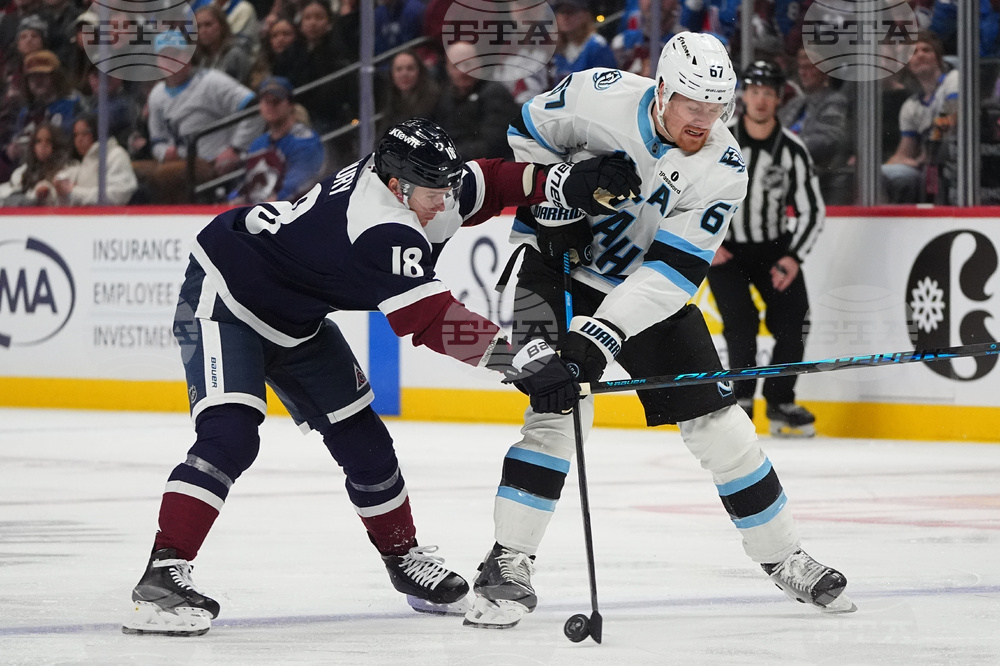 Mammoth Avalanche Hockey