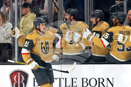 Sharks Golden Knights Hockey