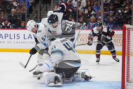 Mammoth Avalanche Hockey