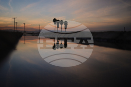 California Farmer Wife's Killing