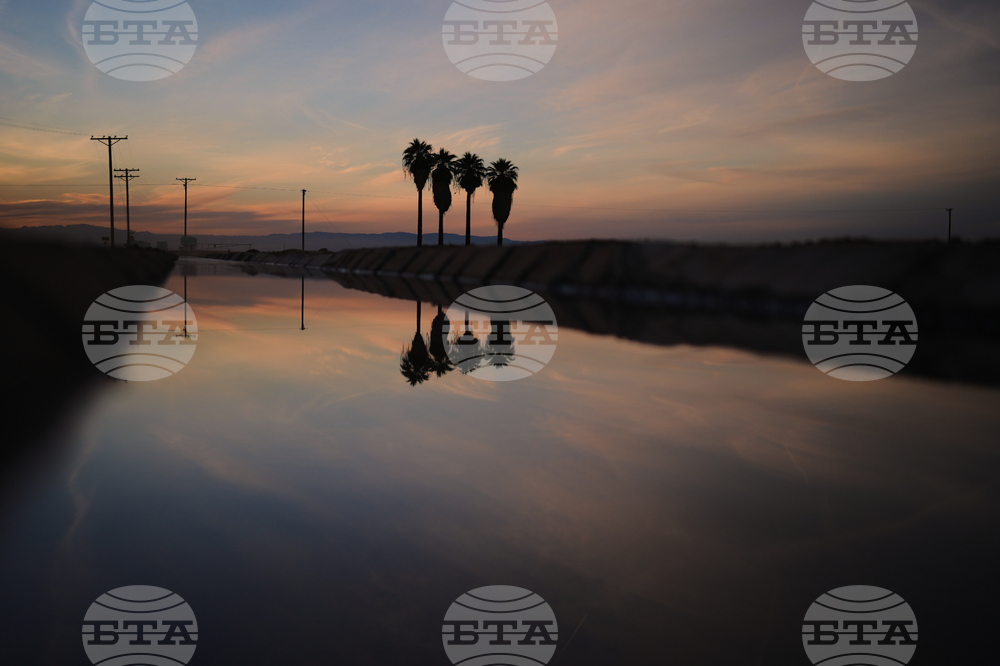 California Farmer Wife's Killing