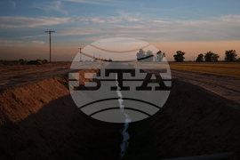 California Farmer Wife's Killing