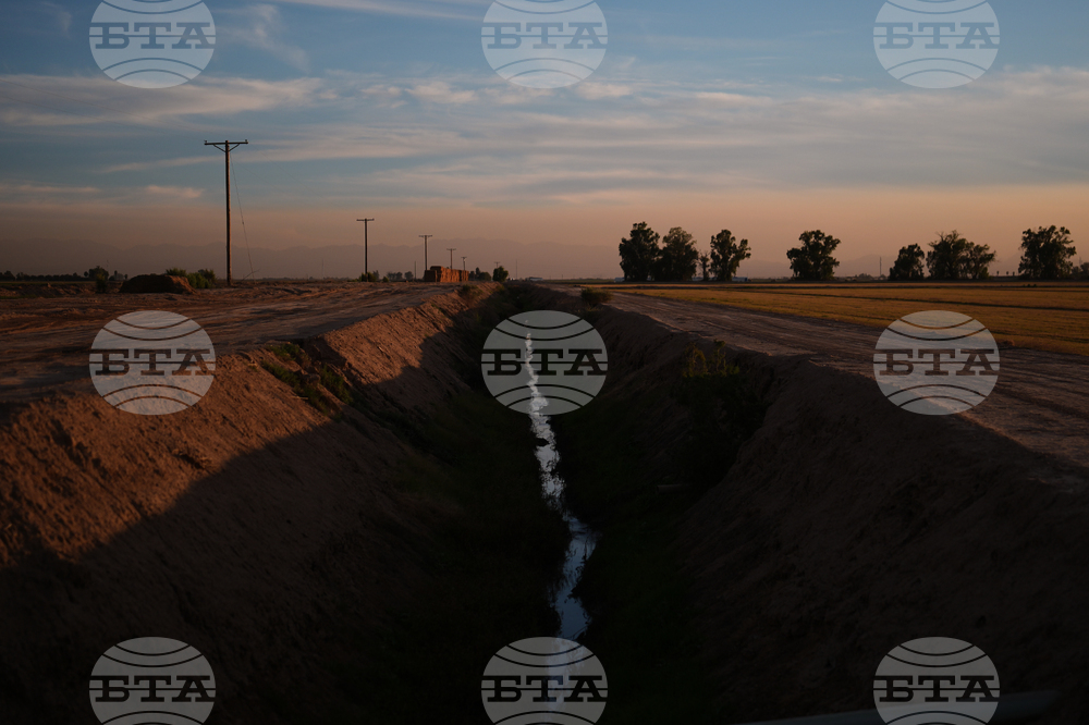 California Farmer Wife's Killing