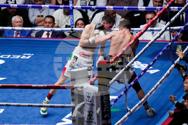 Inoue-Picasso Preview