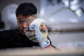 Inoue-Picasso Preview