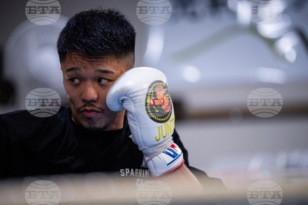 Inoue-Picasso Preview