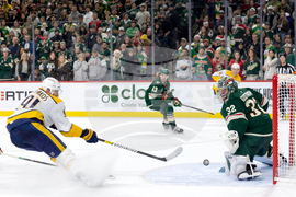 Predators Wild Hockey