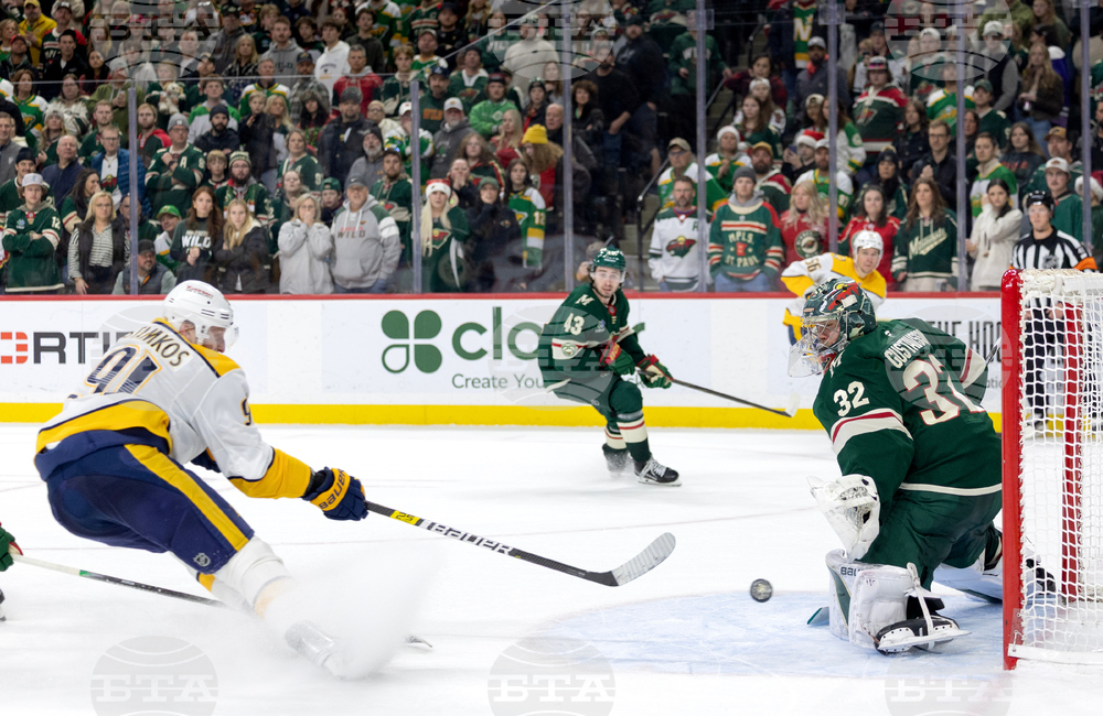 Predators Wild Hockey