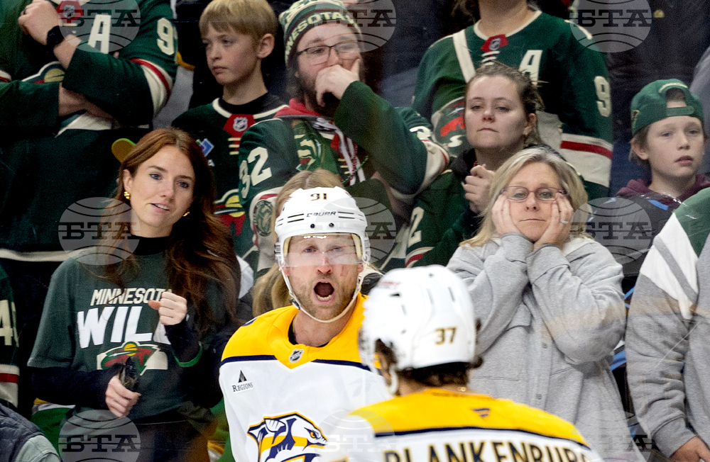 Predators Wild Hockey