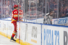 Flames Oilers Hockey