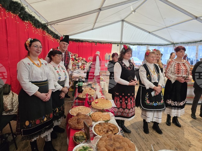 Видин - Фолклорен събор „Бъдник“