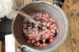 Видин - Фолклорен събор „Бъдник“