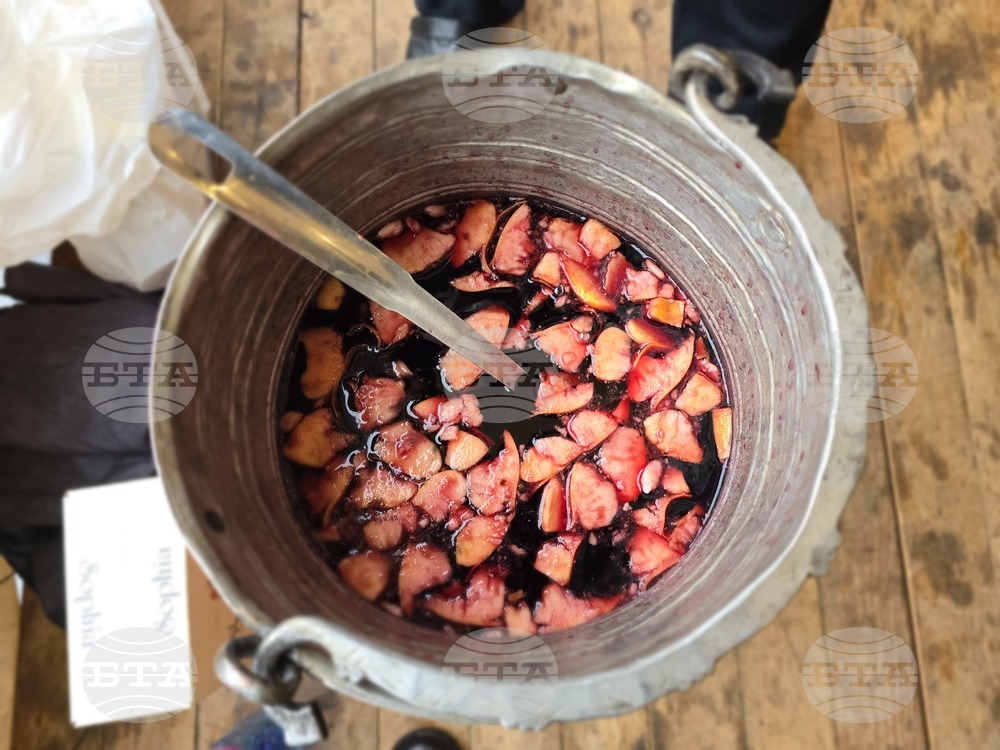 Видин - Фолклорен събор „Бъдник“