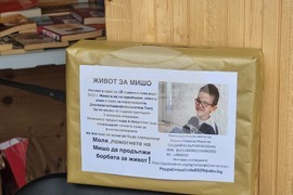 Плевен - благотворителен базар