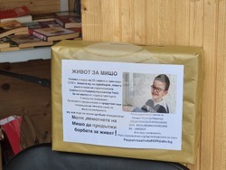 Плевен - благотворителен базар