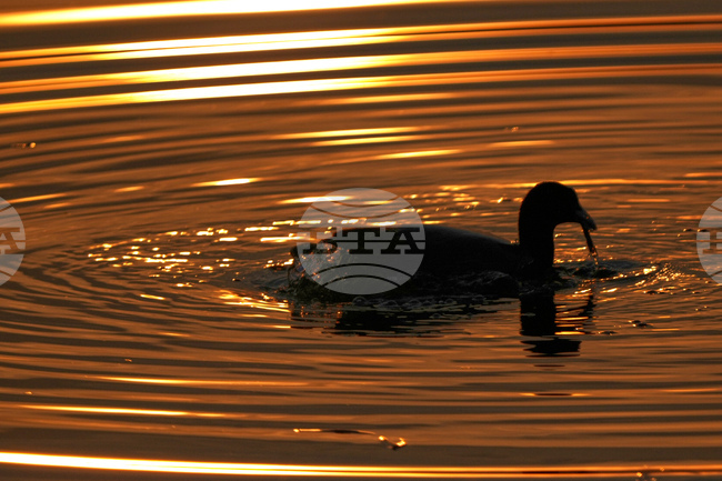 India Kashmir Daily Life