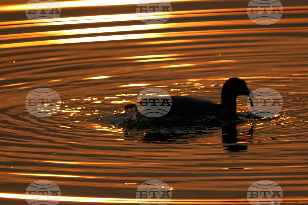 India Kashmir Daily Life