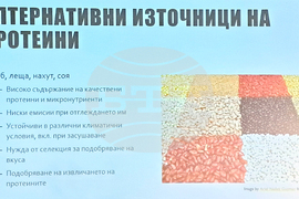 „Научно кафене - декември 2025 г. - фондация „Красива наука“