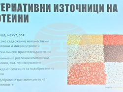 „Научно кафене - декември 2025 г. - фондация „Красива наука“