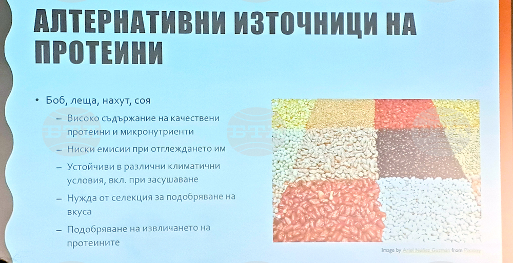 „Научно кафене - декември 2025 г. - фондация „Красива наука“
