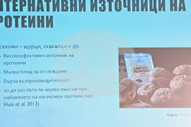 „Научно кафене - декември 2025 г. - фондация „Красива наука“