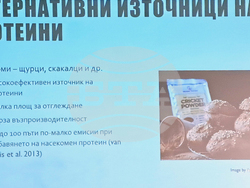 „Научно кафене - декември 2025 г. - фондация „Красива наука“