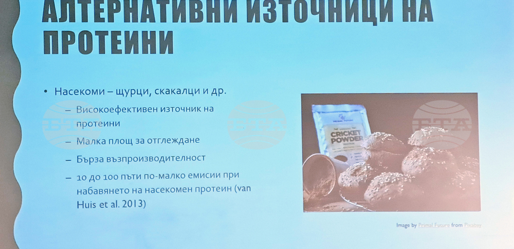 „Научно кафене - декември 2025 г. - фондация „Красива наука“