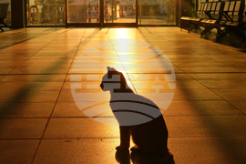 Top Vertical Photos Photo Gallery