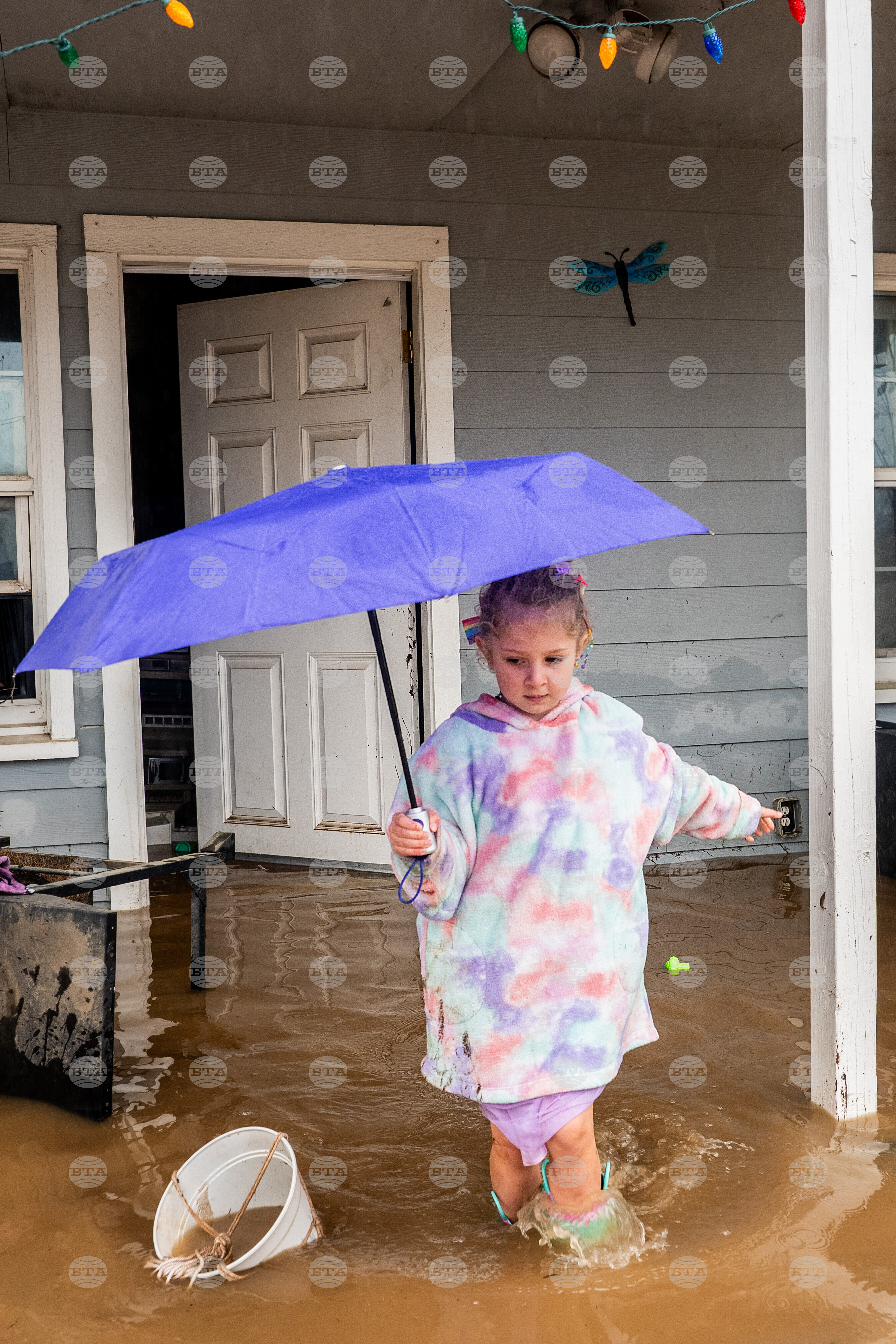 Top Vertical Photos Photo Gallery