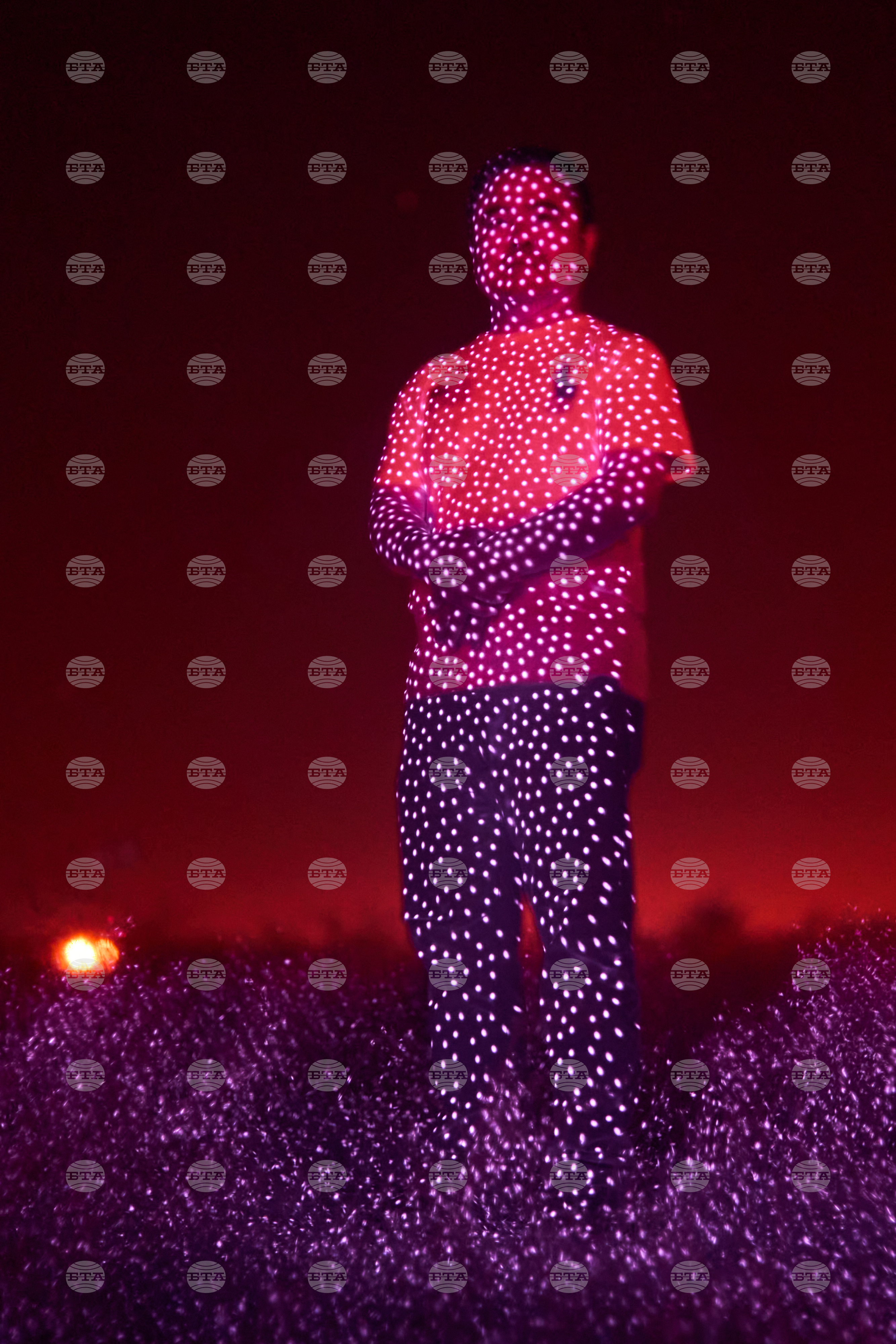 Top Vertical Photos Photo Gallery