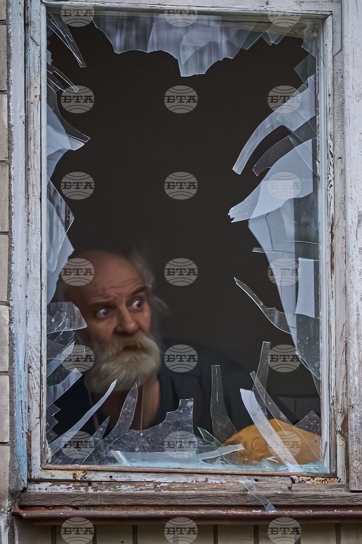 Top Vertical Photos Photo Gallery