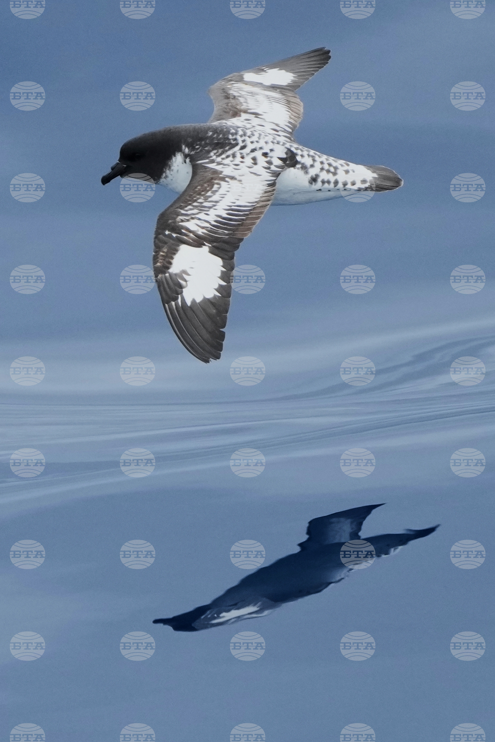 Top Vertical Photos Photo Gallery