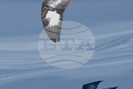 Top Vertical Photos Photo Gallery