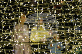 Lebanon Christmas Holiday Lights