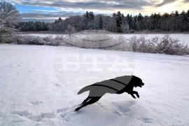 New Hampshire Daily Life