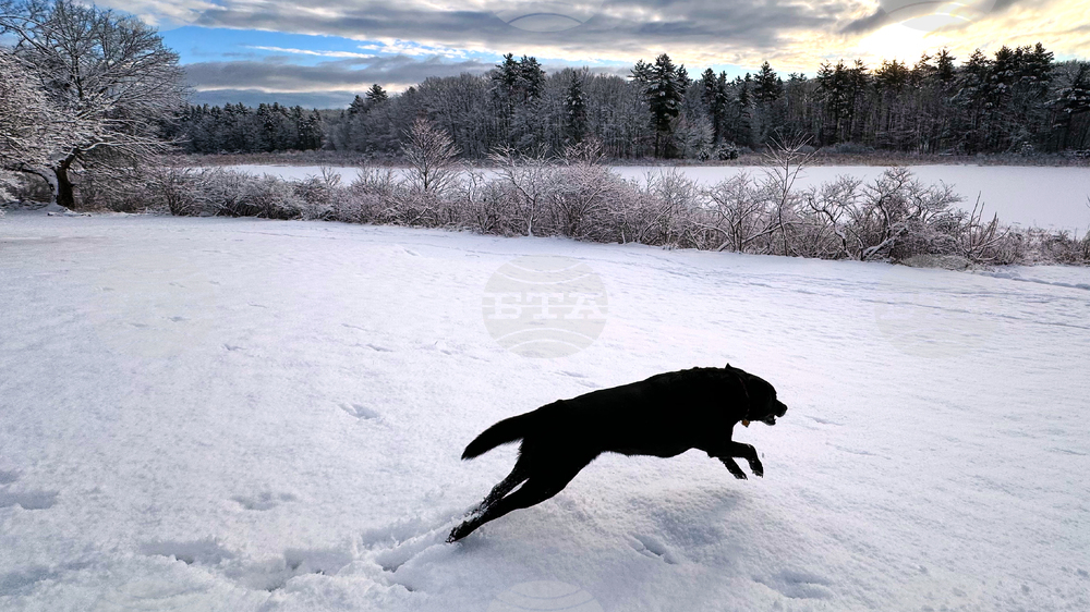 New Hampshire Daily Life