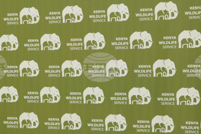 Kenya Human Wildlife Conflict