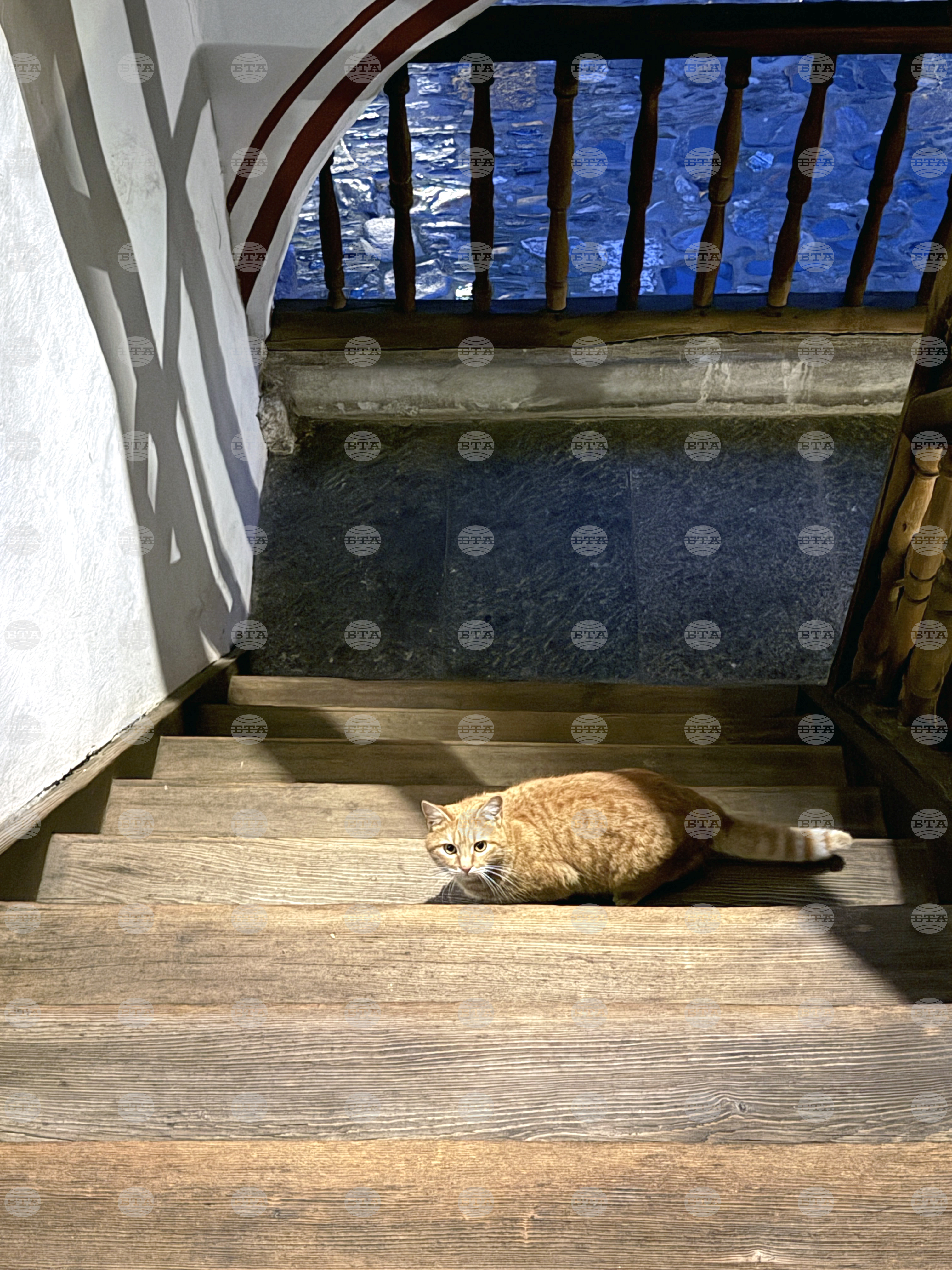 Рилски манастир - Бъдни вечер 2025