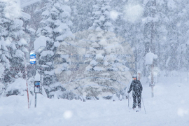 Extreme Weather California